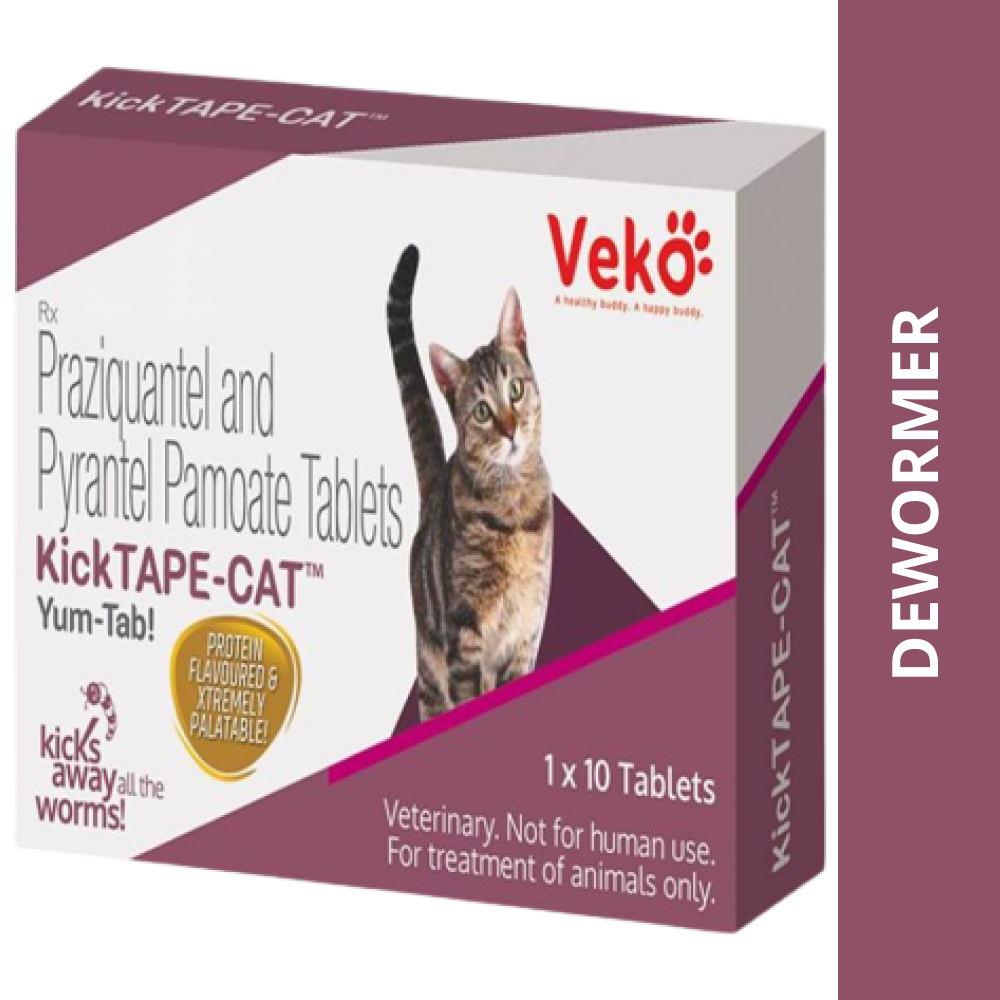 Deworming medicati shops s for kittens