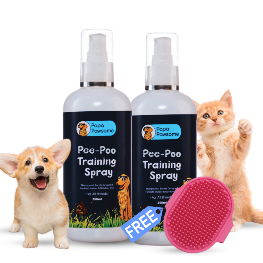 Papa Pawsome Pee Poo Potty Training Spray and Palm Brush for Dogs