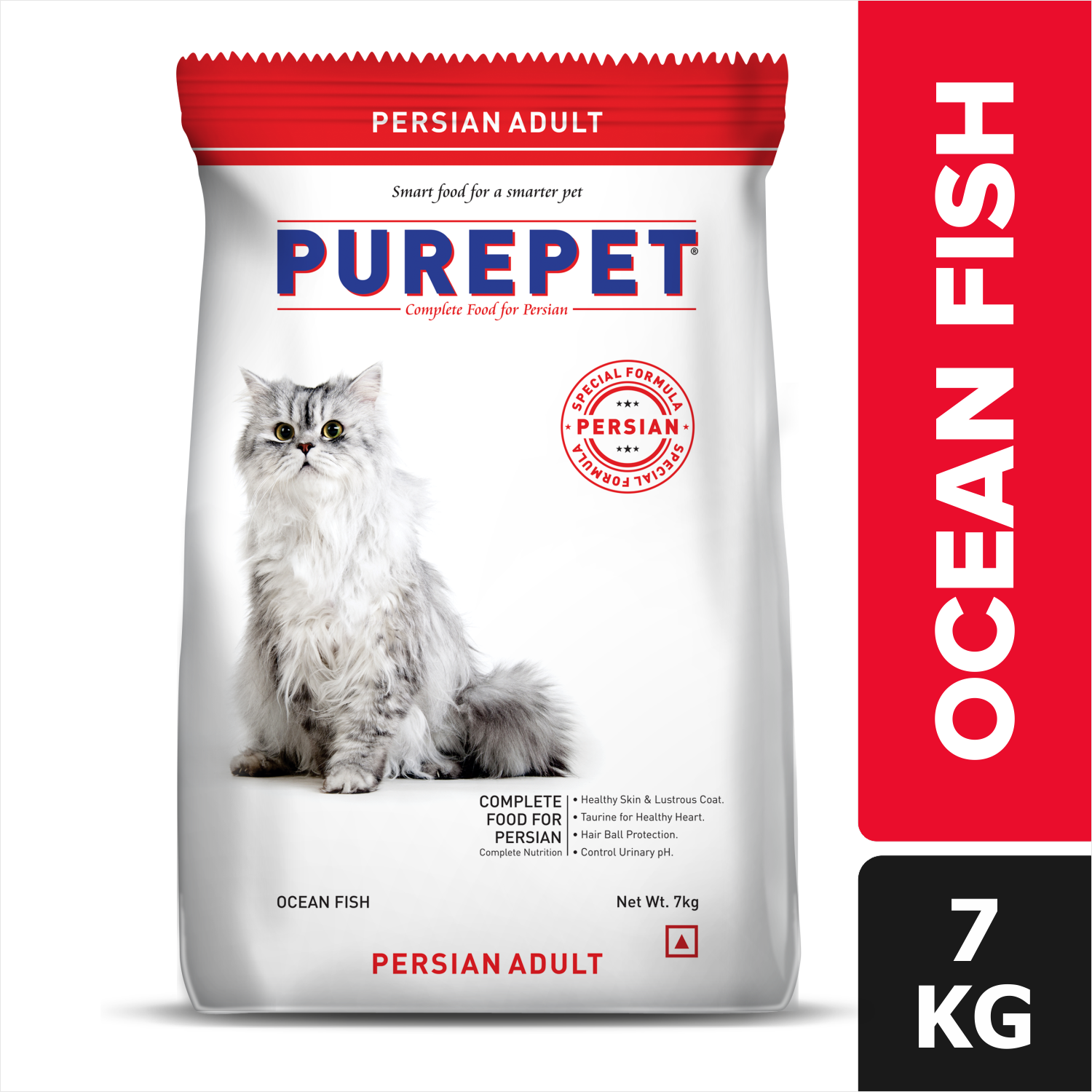 Persian adult cat hot sale