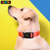 Skatrs Premium Adjustable Collar for Dogs (Red) Dogs-Collar, Leashes, harnesses Skatrs