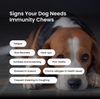 Absolut Pet Postbiotics to Boost Immunity Chews Dogs Treat