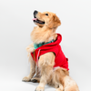 Skatrs Breezy Hoodies with Pockets for Dog and Cats (Red) Both-Clothing & Accessories Skatrs