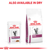 Royal Canin Veterinary Diet Renal Fish Adult Cat Wet Food Cats-Wet Food Royal Canin V-Diet