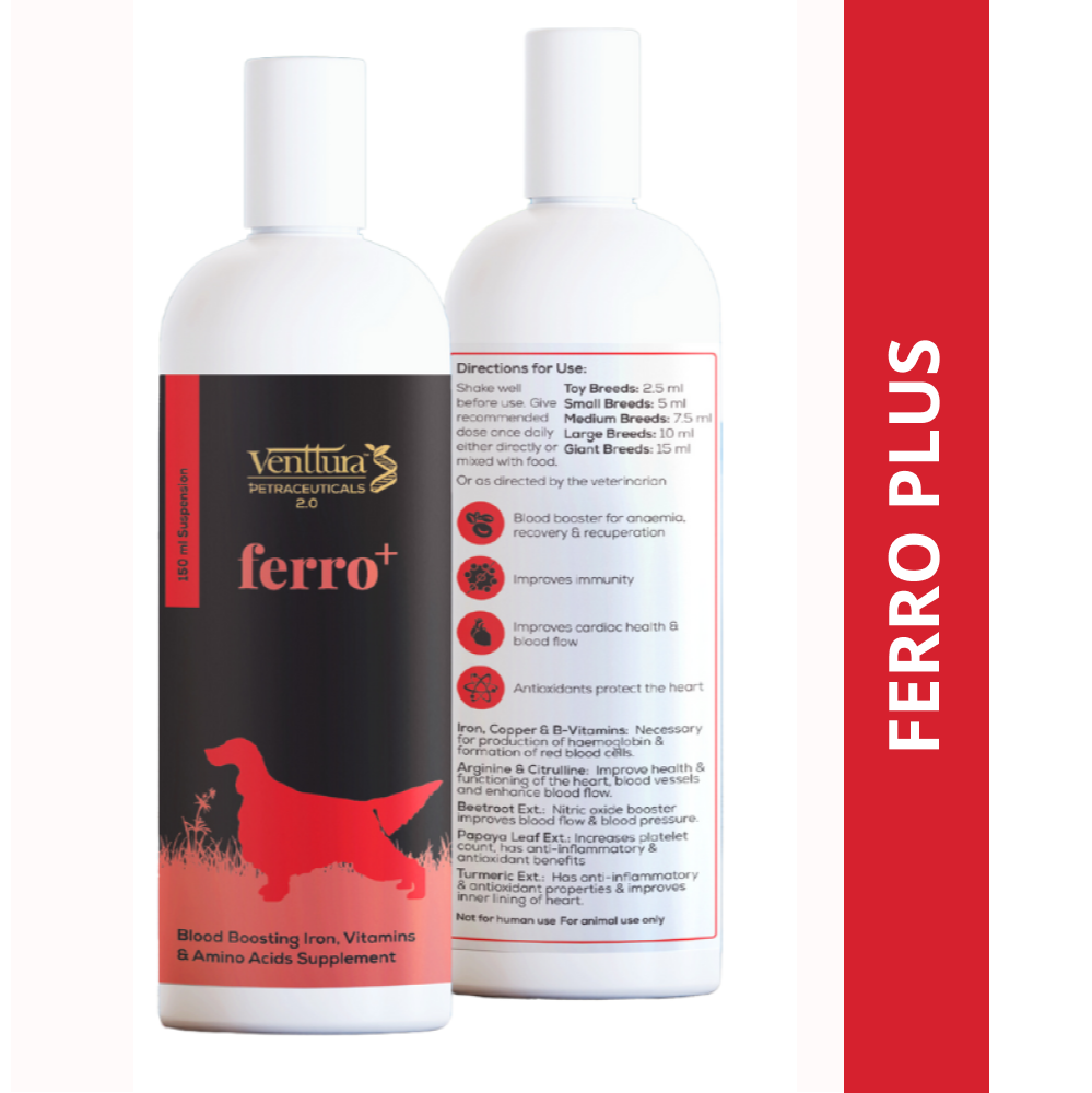 Buy Venttura Ferro Plus Iron Supplements Syrup for Dogs Online Supertails