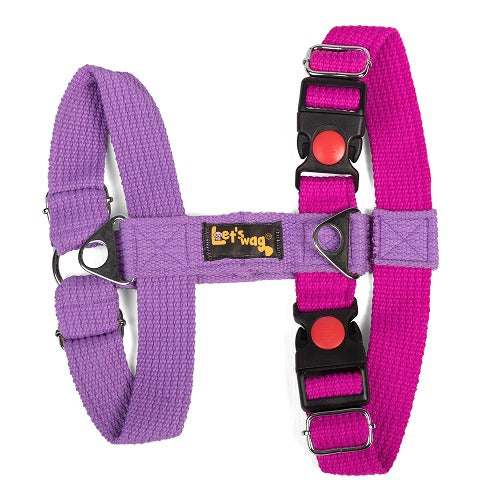 Double H Best Dog Harness For Greyhounds Greyhound Harness Whippet