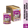 Whiskas Mackerel Flavour and Salmon in Gravy Meal Adult Cat Dry and Wet Food Combo Exclusive Combo Whiskas