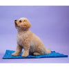 Skatrs Cooling Mat for Dogs (Blue) Dogs-Bedding, Mats & Travel Supplies Skatrs M