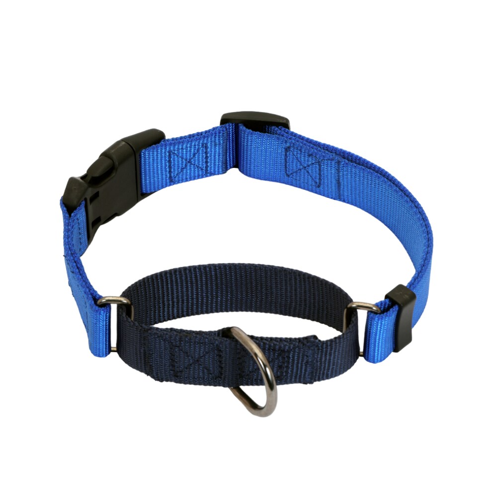 Glucklich Classic Nylon Martingale Adjustable Collar for Dogs (Royal Blue) Supertails