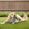 Kong Wubba Finz Toy for Dogs (Blue) | For Medium Chewers Dogs-Toys Kong