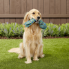 Kong Wubba Finz Toy for Dogs (Blue) | For Medium Chewers Dogs-Toys Kong