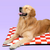 Pet Set Go Cozy Checks Mat for Dogs and Cats (Red) Both-Bedding, Mats & Travel Supplies Pet Set Go Dropship