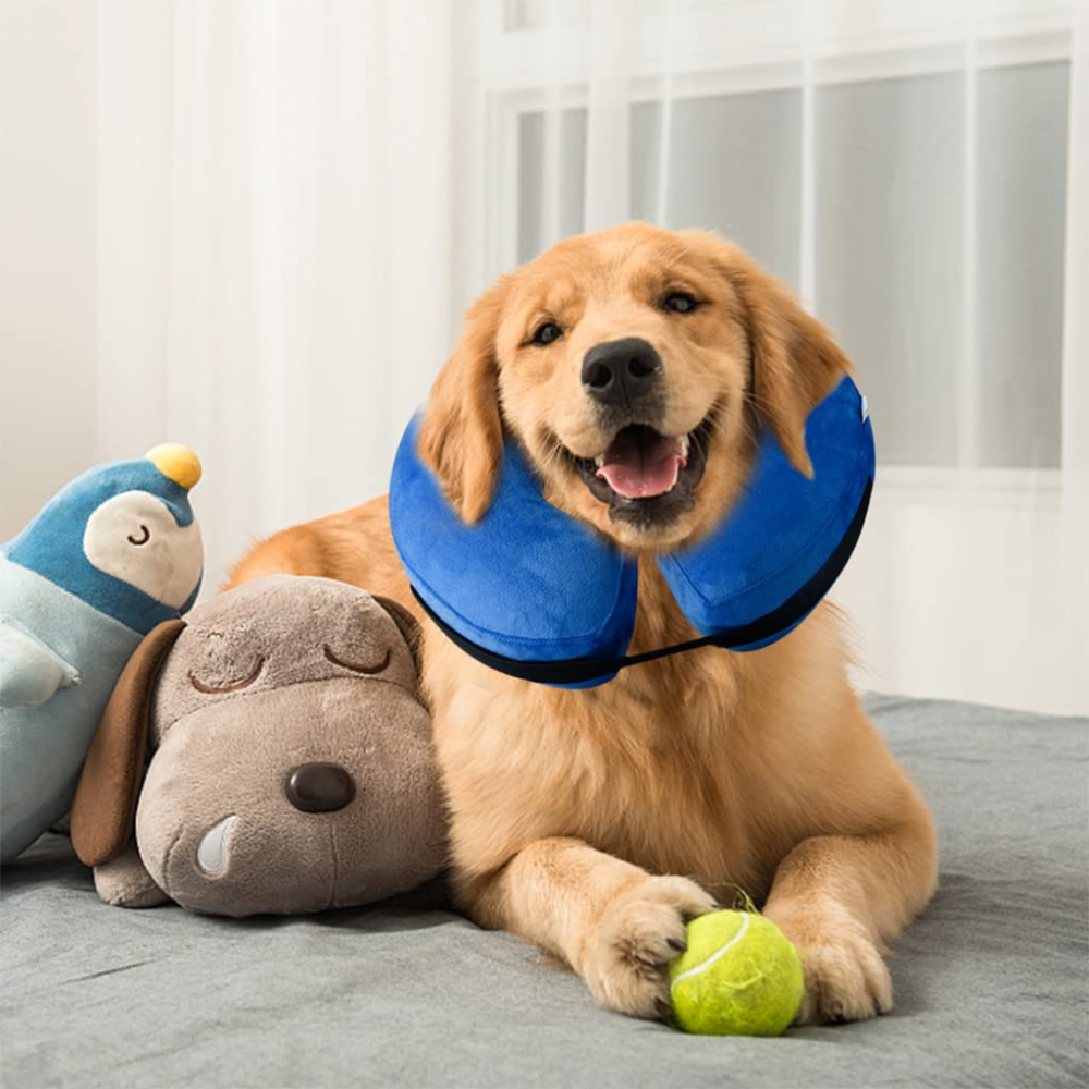 Inflatable e collar for fashion cats