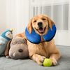 QPets Inflatable E Collar for Dogs and Cats (Blue) Both-Collar, Leashes, harnesses Q pets L:15-20in Neck