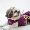 Pawgypets Net Lehenga for Dogs (Violet) Dogs-Clothing & Accessories Pawgypets Dropship
