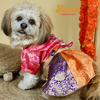 Pawgypets Luxe Brocade Colour Block Lehenga Dogs and Cats Both-Clothing & Accessories Pawgypets Luxe Dropship M