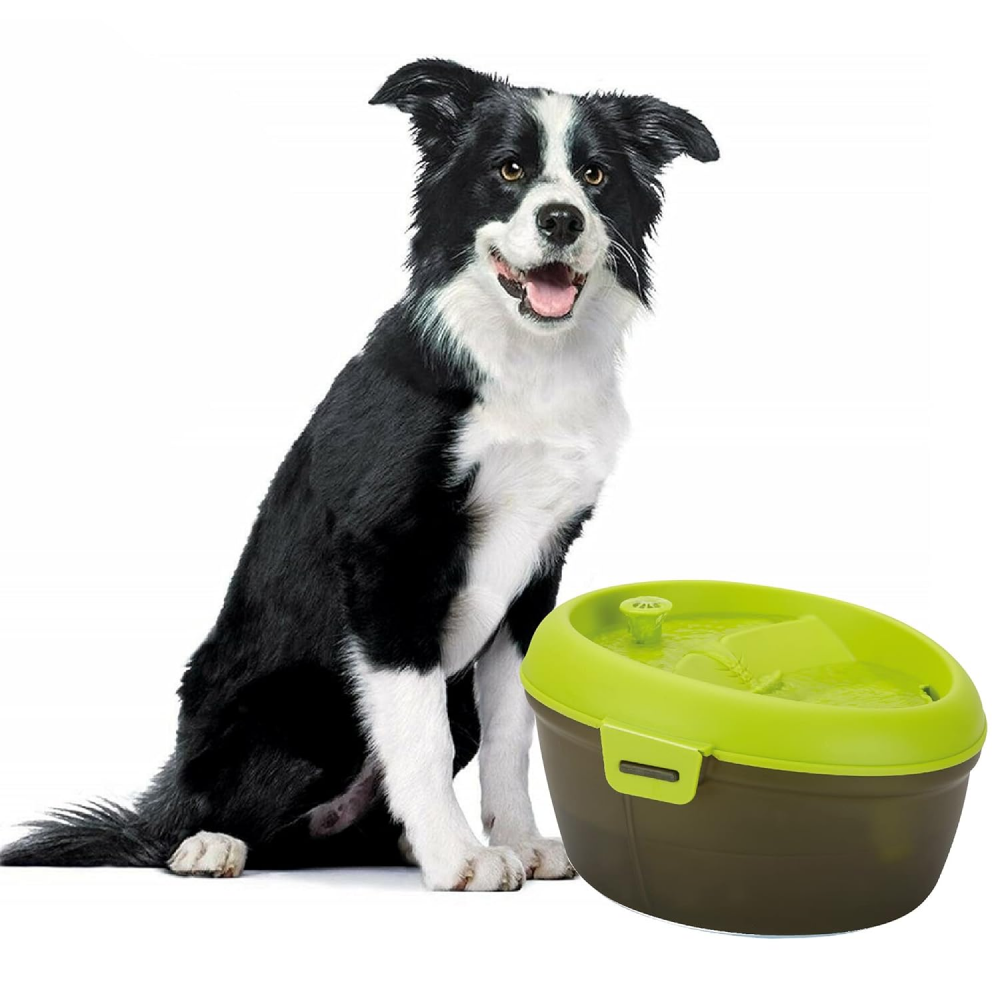 Buy Goofy Tails Water Fountain Automatic Water Dispenser For Dogs