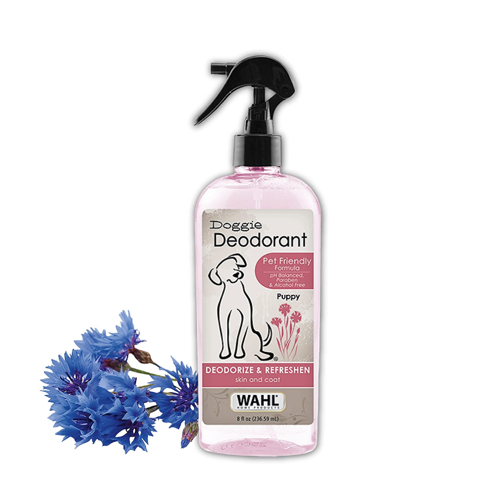 Buy Wahl Doggie Deodorant for Puppy Cornflower Aloe Online Supertails