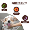 TopDog Premium Anti Dandruff and Anti Itch Shampoo for Dogs and Cats Dogs-Grooming Supplies TopDog Premium Dropship