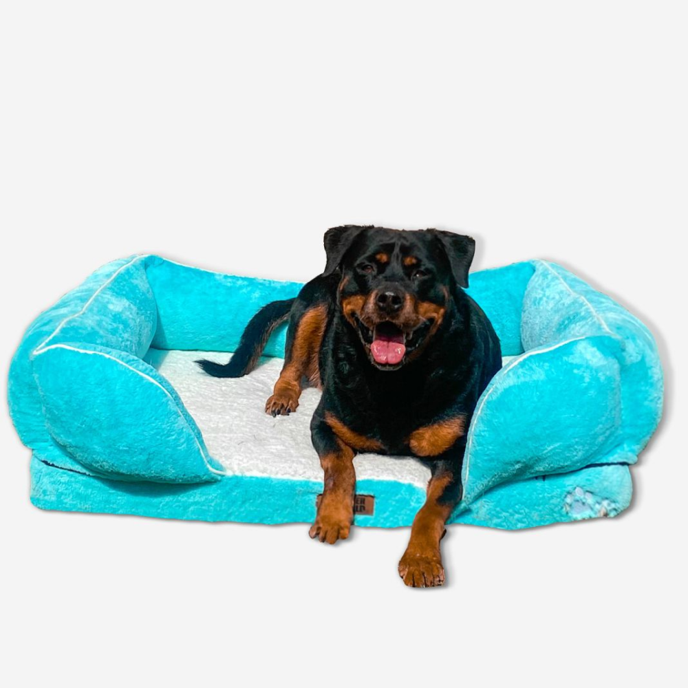 Petter World Ultra Luxury Micro Fur Orthopedic Sofa Bed with