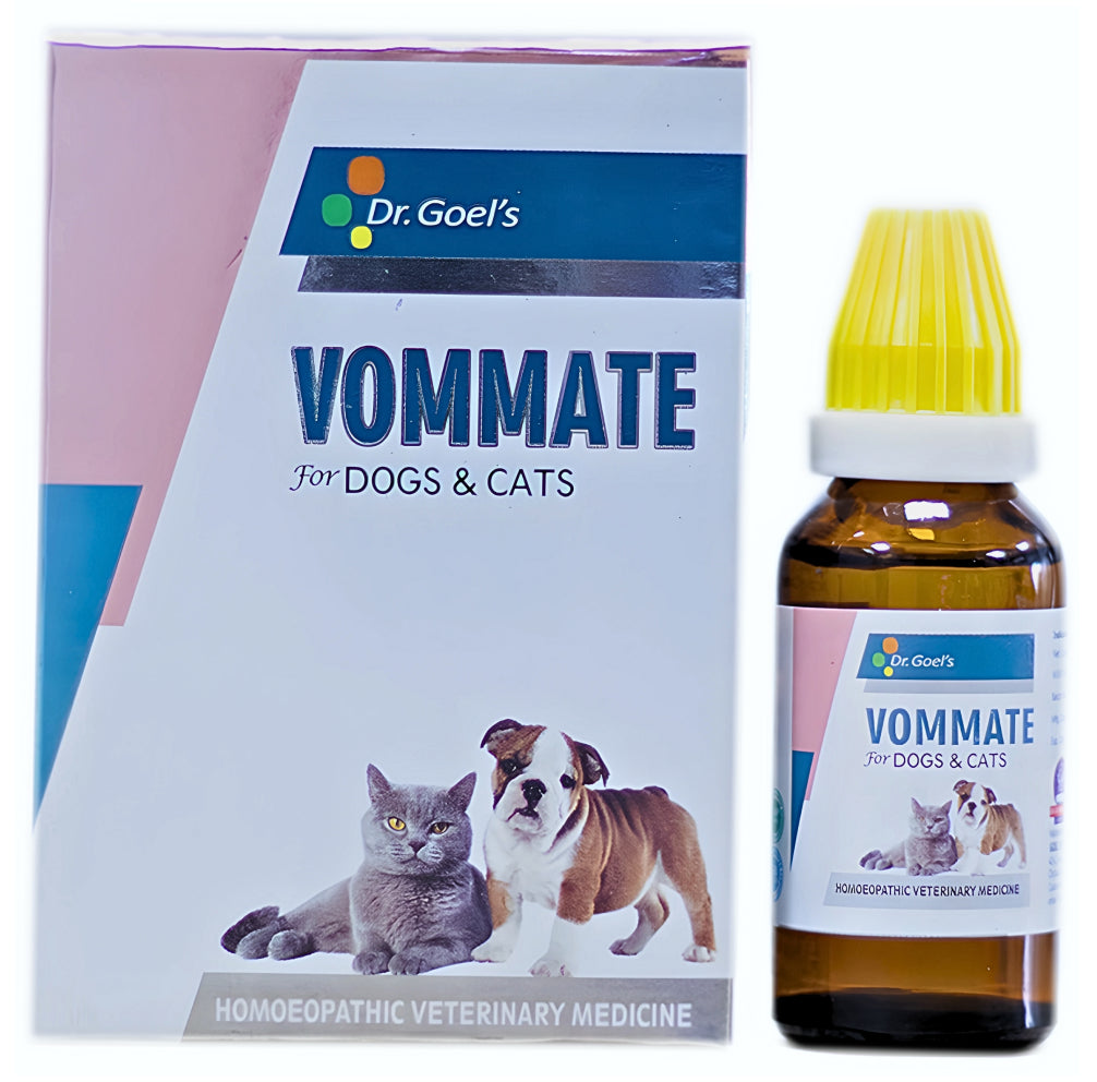 Loose Motions in Cats: Causes, Symptoms & Quick Remedies