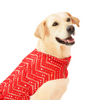 Skatrs Festive Mirror Lehenga for Cats and Dogs (Red) Both-Clothing & Accessories Skatrs
