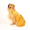 Skatrs Festive Sequence Embroidered Lehenga for Cats and Dogs (Yellow) Both-Clothing & Accessories Skatrs