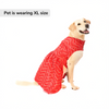 Skatrs Festive Mirror Lehenga for Cats and Dogs (Red) Both-Clothing & Accessories Skatrs