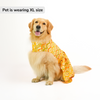 Skatrs Festive Sequence Embroidered Lehenga for Cats and Dogs (Yellow) Both-Clothing & Accessories Skatrs
