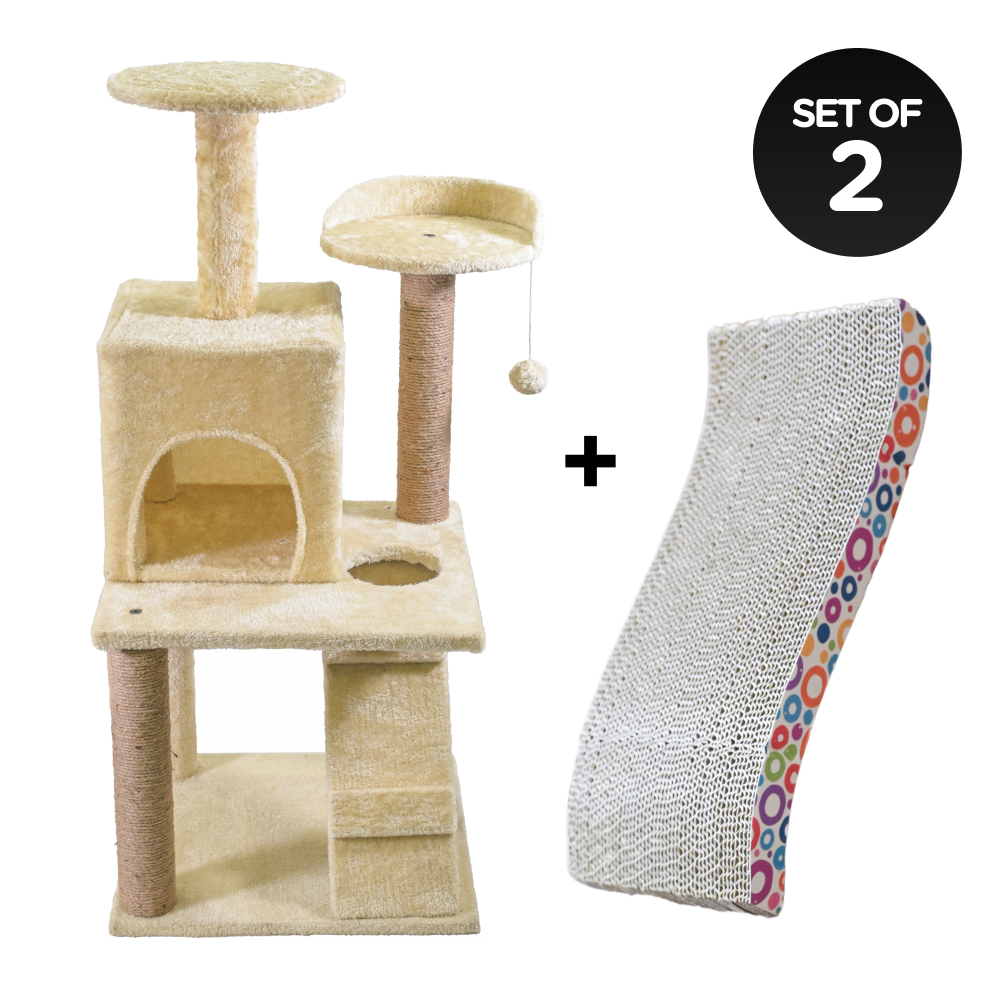 Cat 2024 scratcher condo