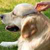 Wahl Grooming Comb for Dogs and Cats (24cm) Both-Grooming Supplies Wahl