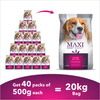 Maxi Adult Chicken and Liver Dog Dry Food Dogs- Dry Food Maxi Adult