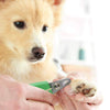 Wahl Curved Nail Clipper for Dogs (Small,14cm) Dogs-Grooming Supplies Wahl