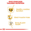 Royal Canin Rottweiler Adult Dog Dry Food (Limited Shelf Life) Dogs- Dry Food Royal Canin