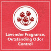 Drools Lavender Scented Clumping Cat Litter Cats-Litter Drools