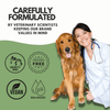 DOGZ & DUDEZ Dry Shampoo for Dogs and Cats (Limited Shelf Life) Both-Grooming Supplies DOGZ & DUDEZ