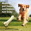 Purepet Chew Bone Dog Treats Dog Treats + Others Purepet