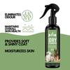 DOGZ & DUDEZ Dry Shampoo for Dogs and Cats (Limited Shelf Life) Both-Grooming Supplies DOGZ & DUDEZ