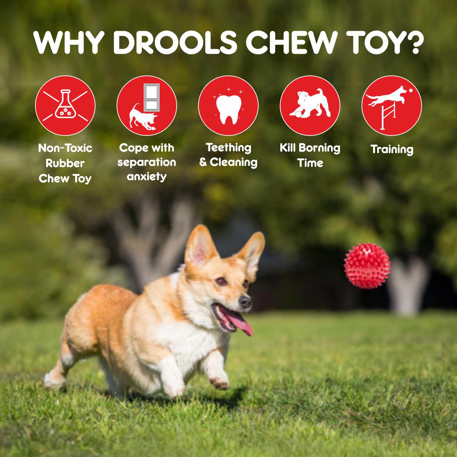 Drools Non Toxic Rubber Stud Spike Hard Ball Chew Teething Toy for Puppies and Dogs | For Aggressive Chewers Dogs-Toys Drools