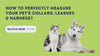 Truelove Floral No Pull Pet Harness for Dogs (Poppy Red) Dogs-Collar, Leashes, harnesses True Love