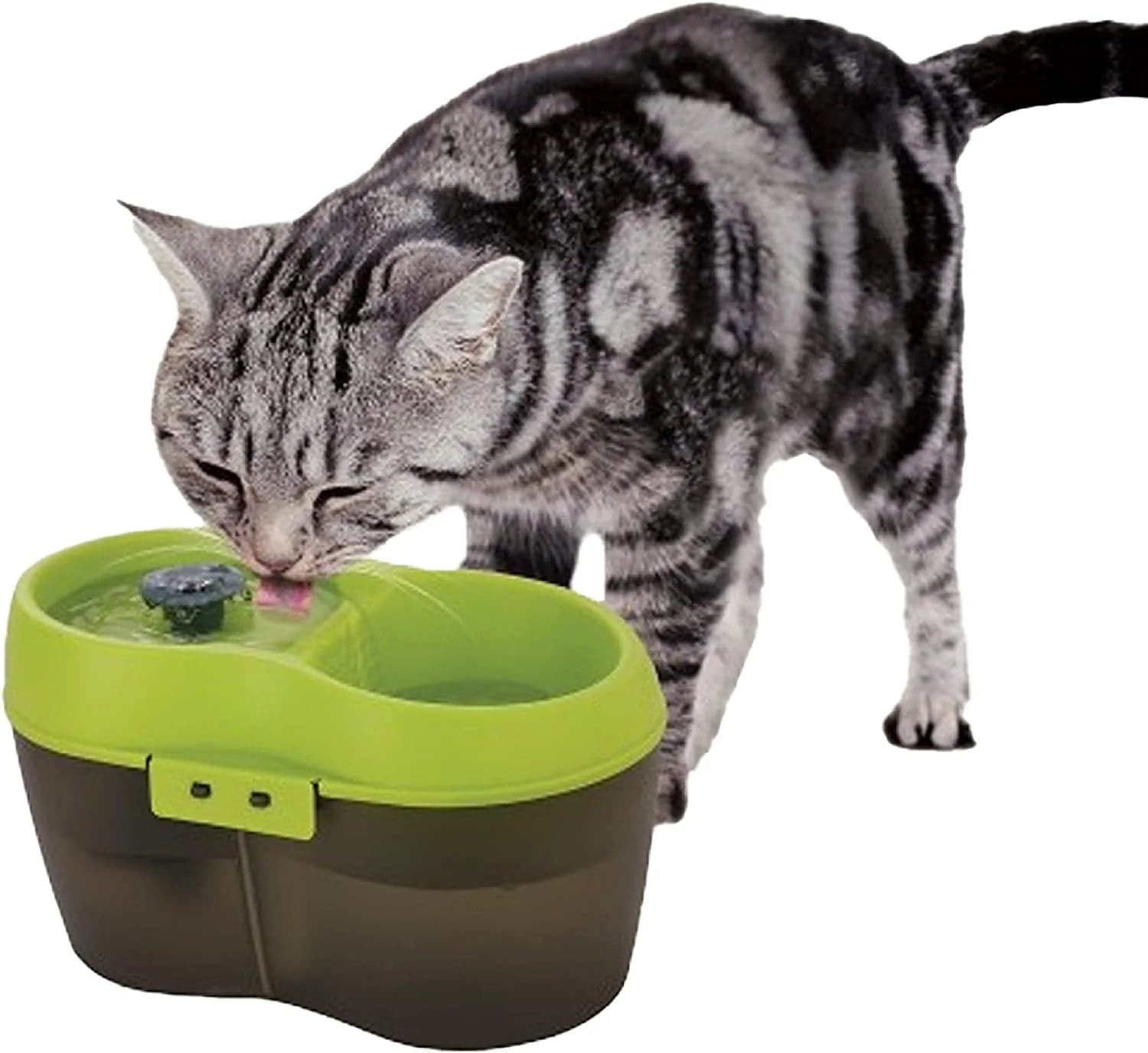 Buy Goofy Tails Water Fountain Automatic Water Dispenser for Dogs and Cats 2L Online Supertails
