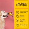 Furlicks Multivitamin for Cats and Dogs (Limited Shelf Life) Both-Health & Wellness Furlicks