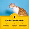 Furlicks Multivitamin for Cats and Dogs (Limited Shelf Life) Both-Health & Wellness Furlicks
