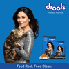 Drools Ocean Fish Adult Cat Dry Food (Limited Shelf Life) Cats- Dry food Drools