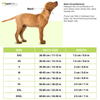 Truelove Classic Collar for Dogs (Grey) Dogs-Collar, Leashes, harnesses True Love