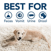 Simple Solution Stain & Odor Remover for Dogs Dogs-Health & Wellness Simple Solution