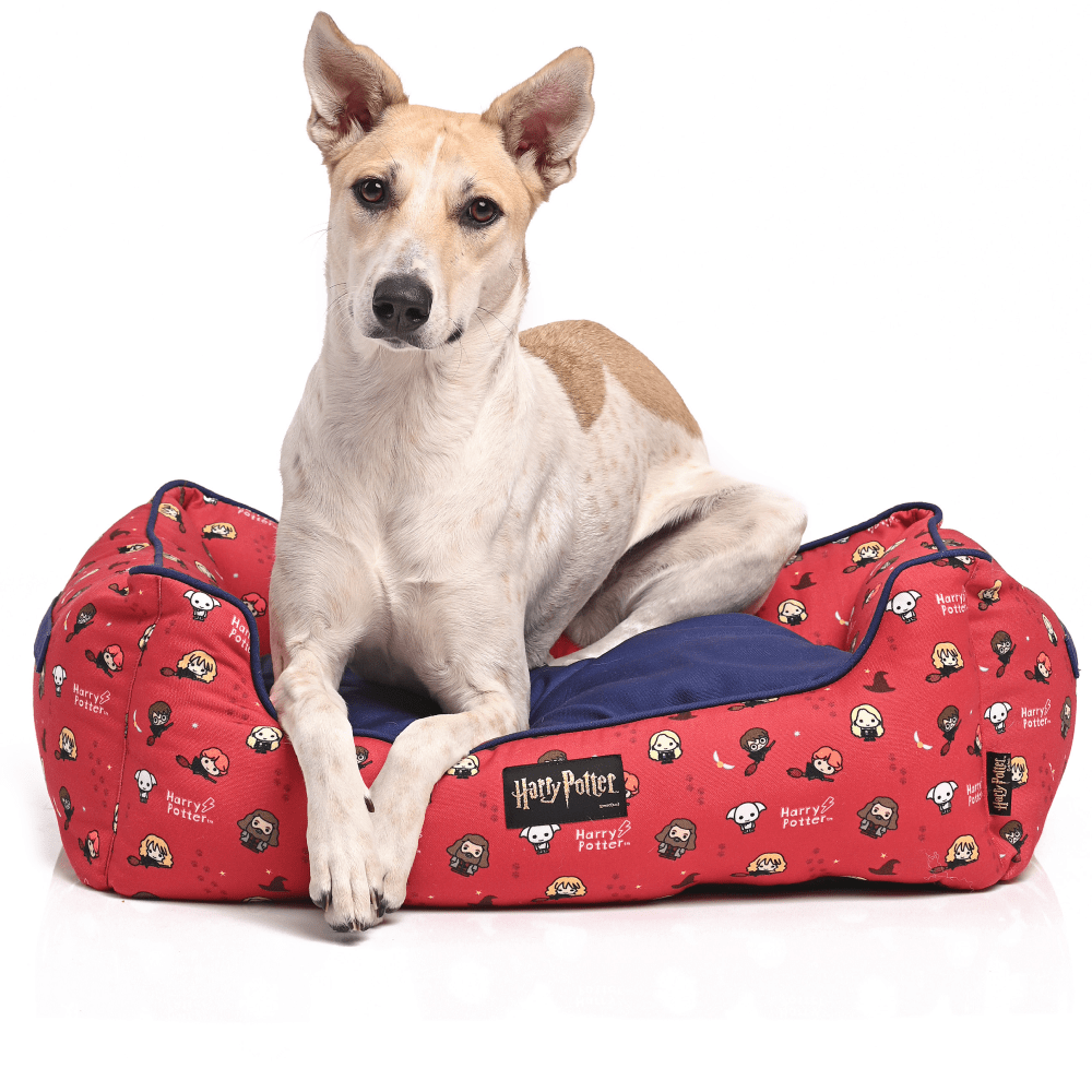 Harry potter dog bed best sale