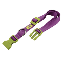 Ferplast Club C Nylon Collar for Dogs (Purple)