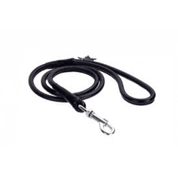 Basil Rope Leash for Dogs and Cats (Assorted)