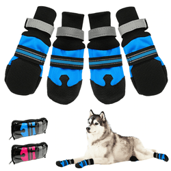 Pawsindia Walkers For Dogs (Blue, Black)