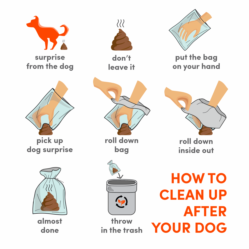 Barkbutler x Fofos Poop Bag Refills for Dogs and Cats Both-Health & Wellness Barkbutler
